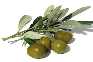 doğal zeytin